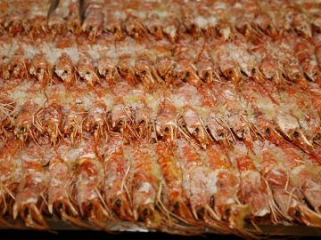 Hotel Smeraldo Cesenatico Gamberoni con sale